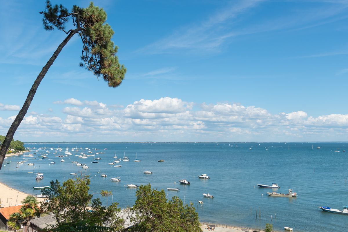 que-faire-bassin-arcachon