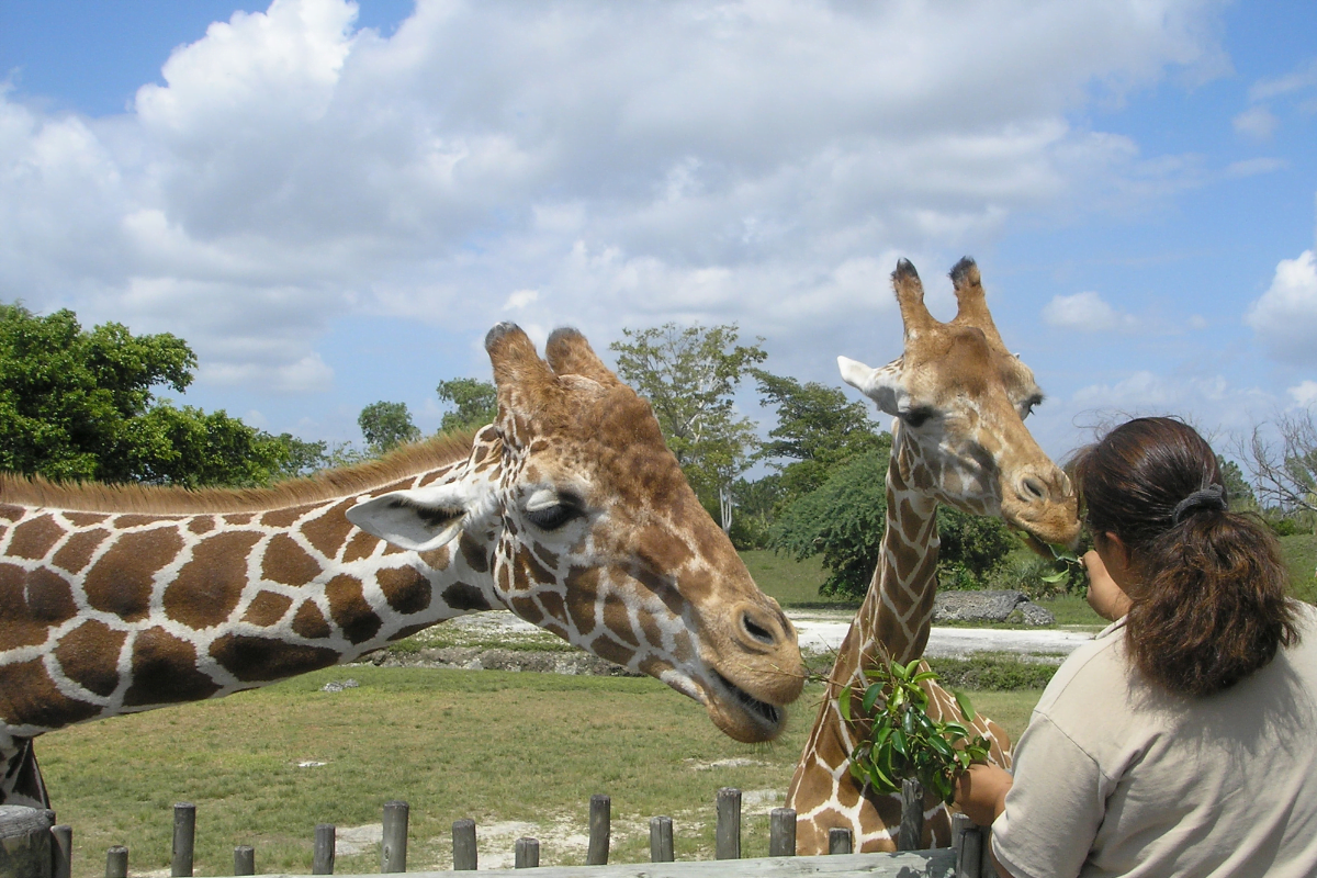 parc-animalier-france