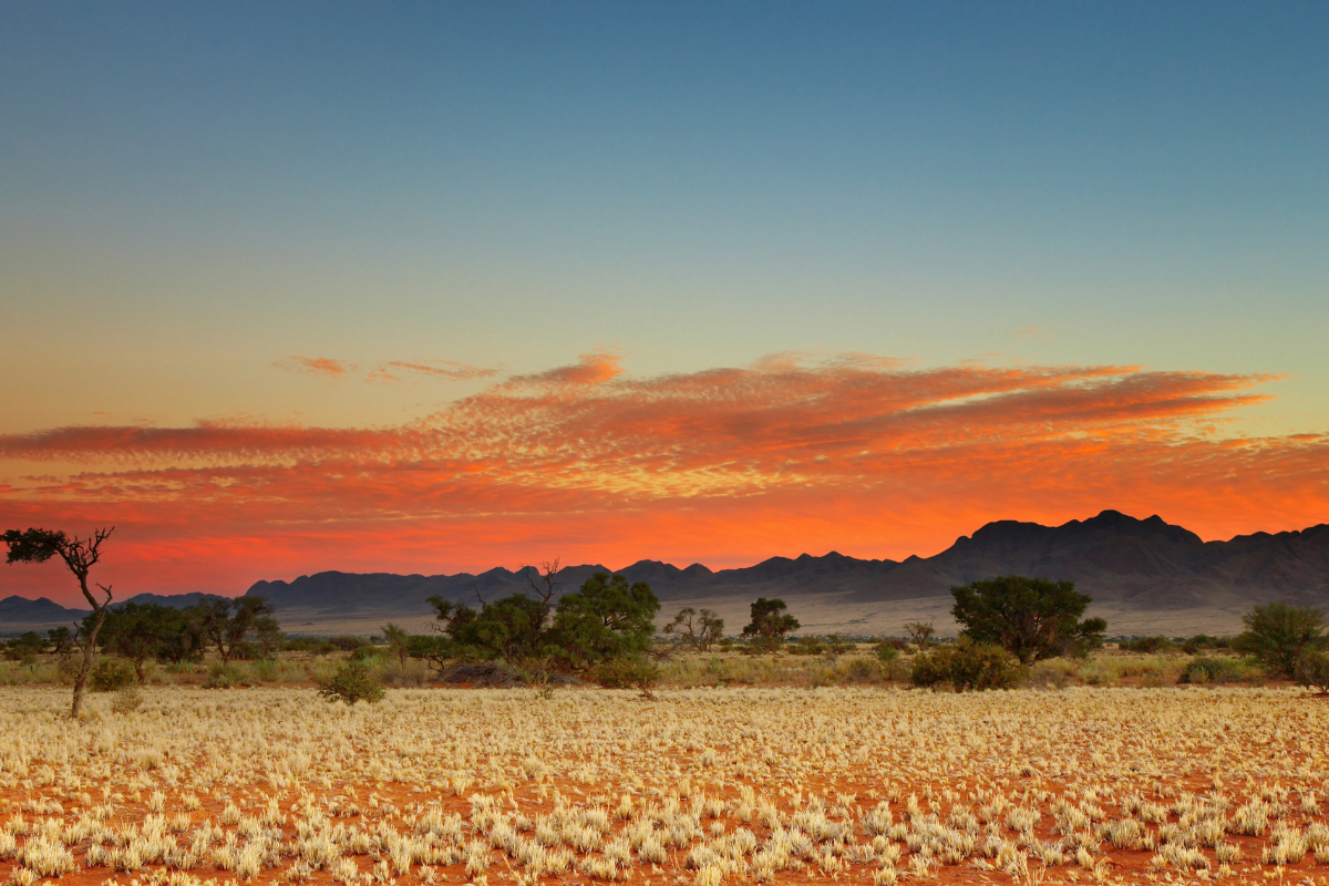 grand-desert-monde