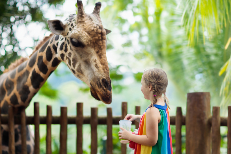 zoo de beauval