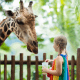 Visite du Zoo de Beauval : Tarif / Billets / Horaires