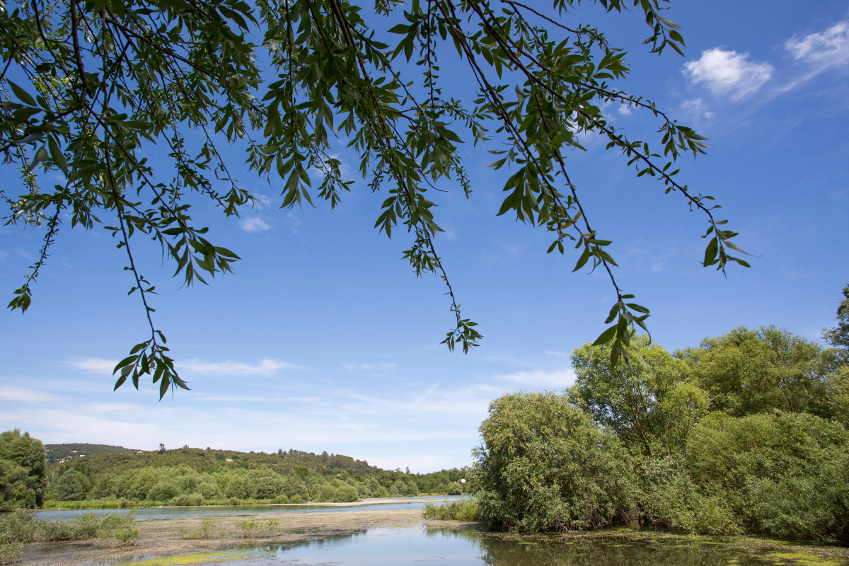 lac-sud-france