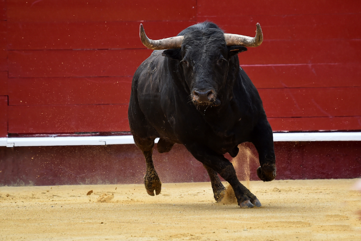 feria-france