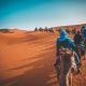 Maroc vs Turquie : Que choisir pour ses vacances ?