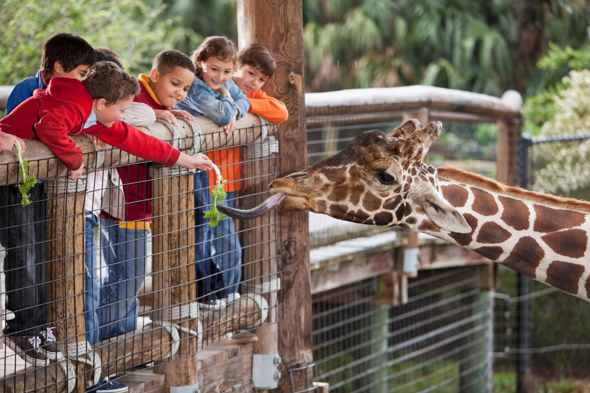 zoo-europe