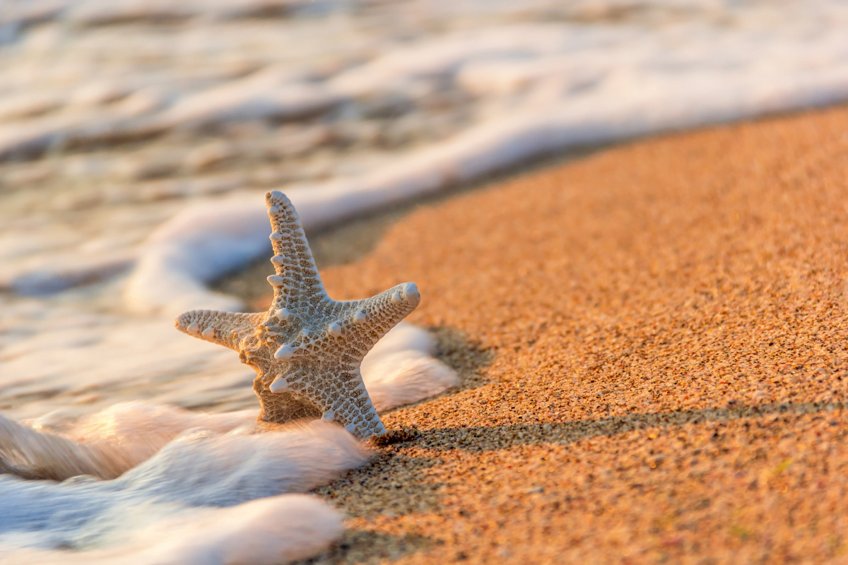 plage-cote-atlantique