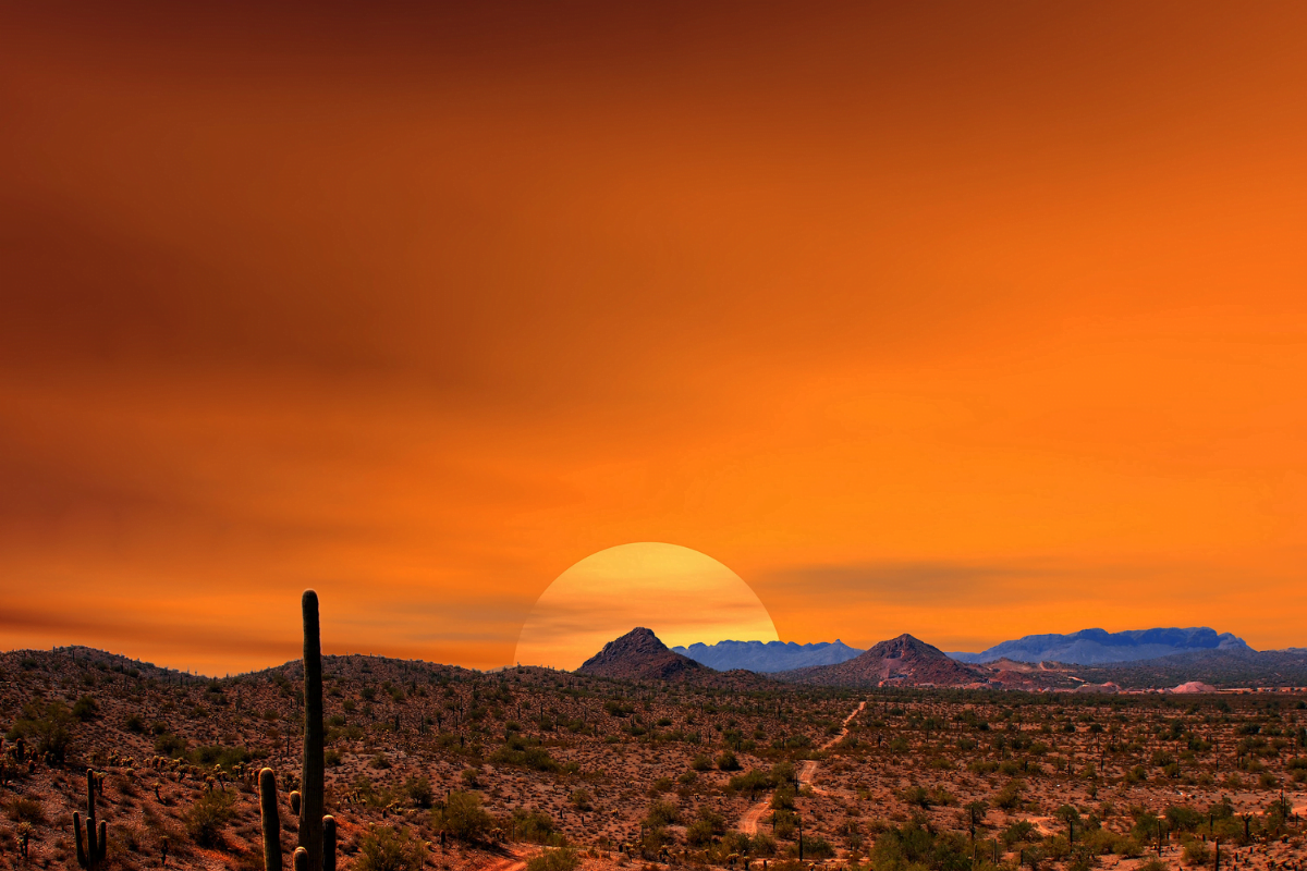 grand-desert-monde