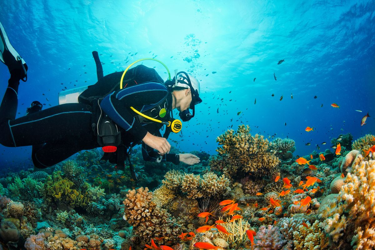 Plongé sous marine