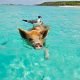 Bahamas ou Maldives : Que choisir pour des vacances paradisiaques ?