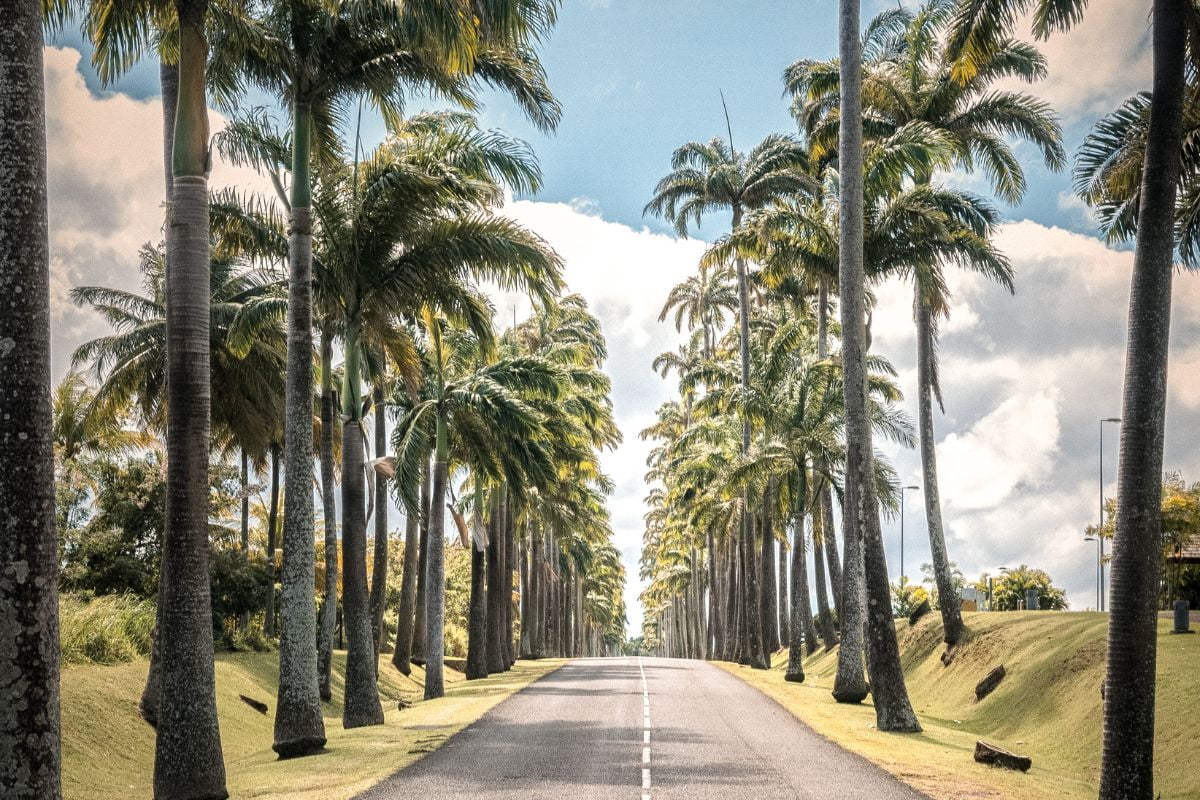 loger-en-guadeloupe