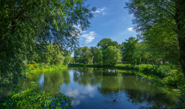 lac-ile-de-france