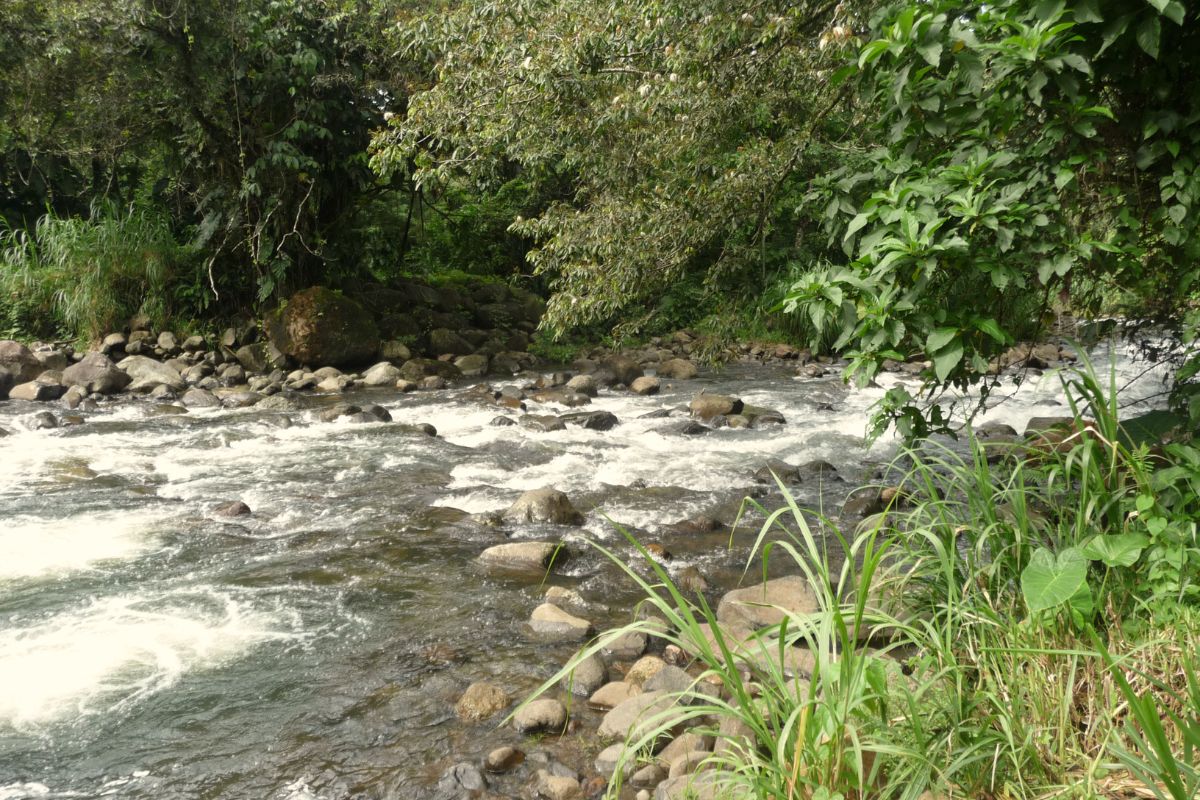 loger-en-guadeloupe