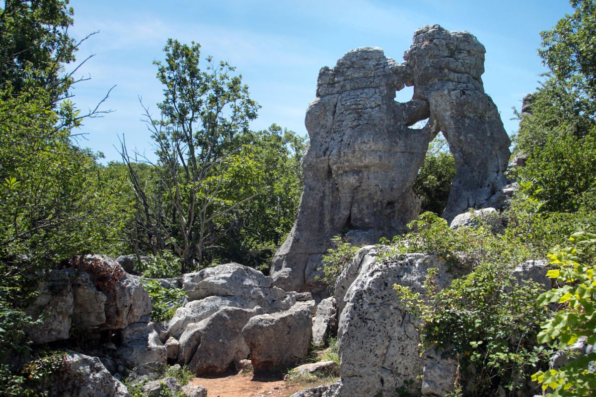 Le bois de Païolive