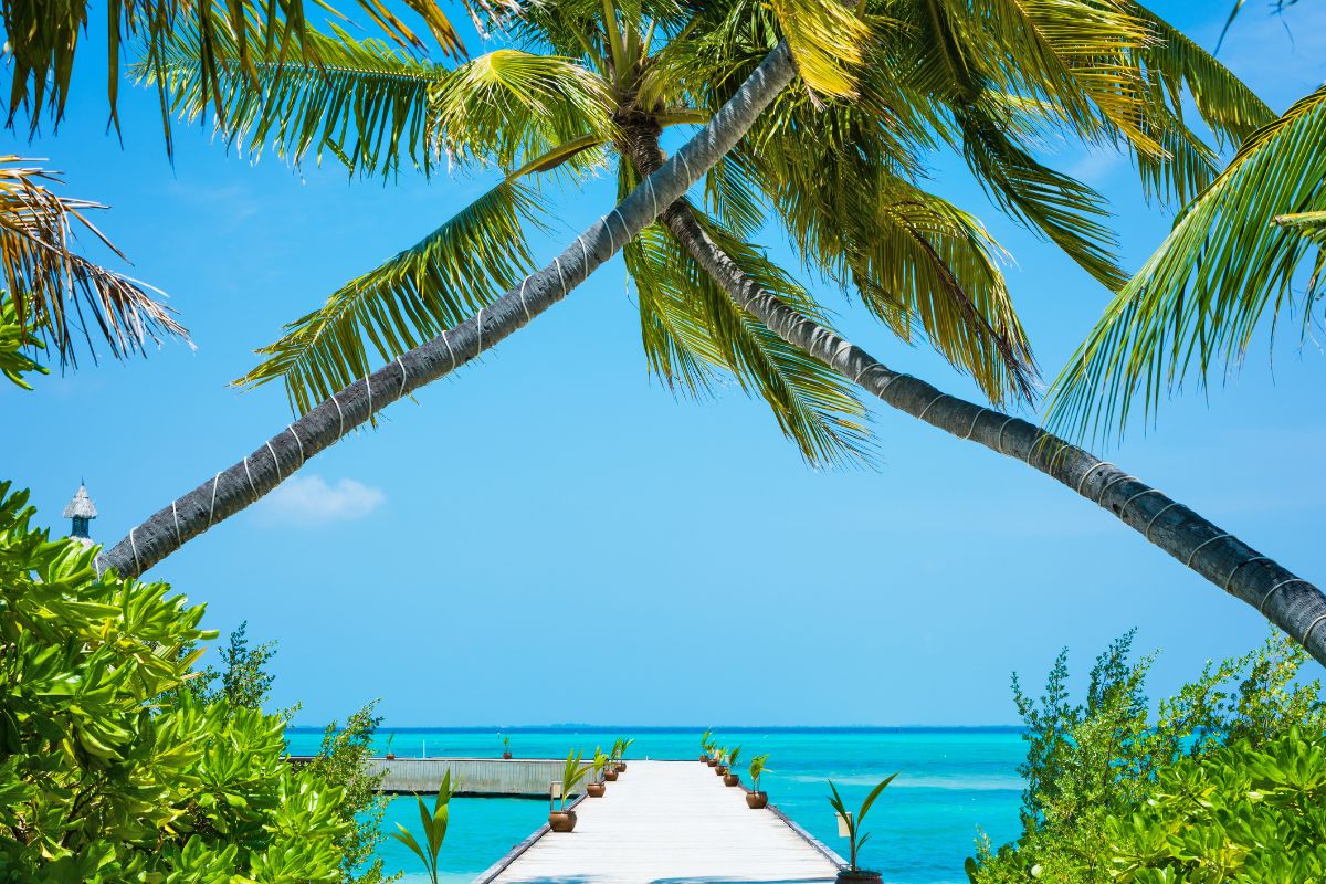 Maldives en décembre