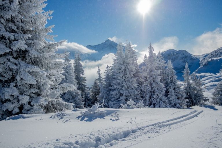 Hotel les 2 alpes au pied des pistes