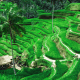 Les 10 meilleurs hôtels écologiques de Bali