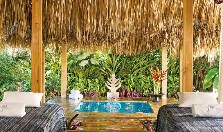 Hôtel Zoëtry Agua Punta Cana - World of Hyatt Inclusive Collection 5*