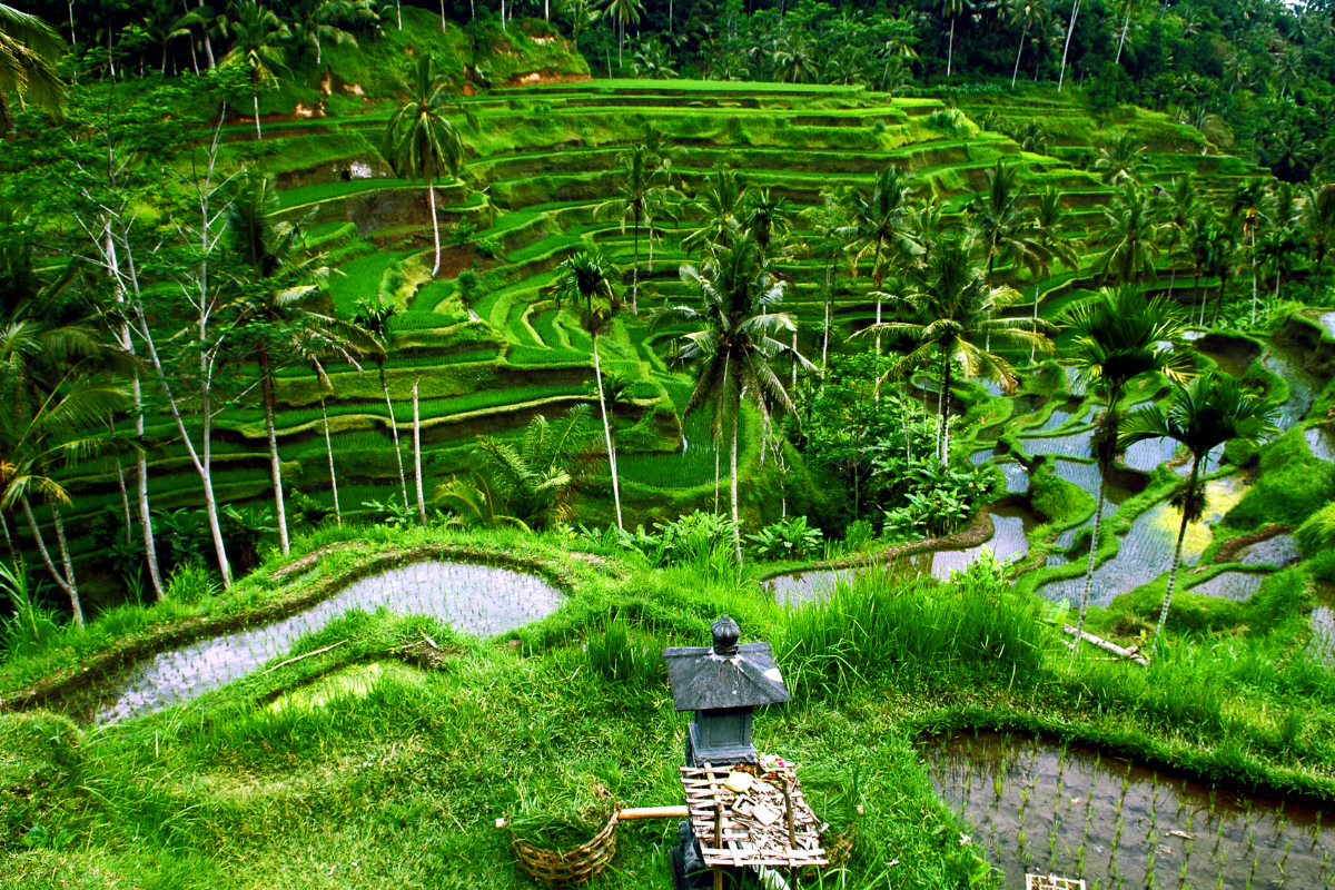 Hotel écologique à bali