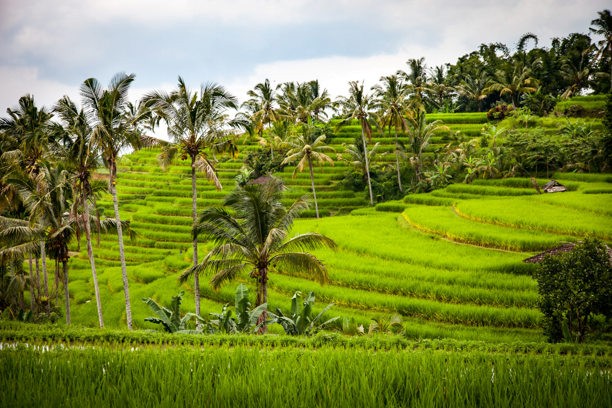 Hotel écologique à bali