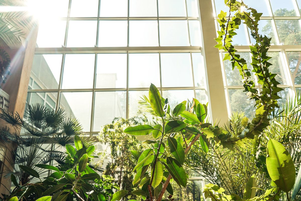 jardin botanique