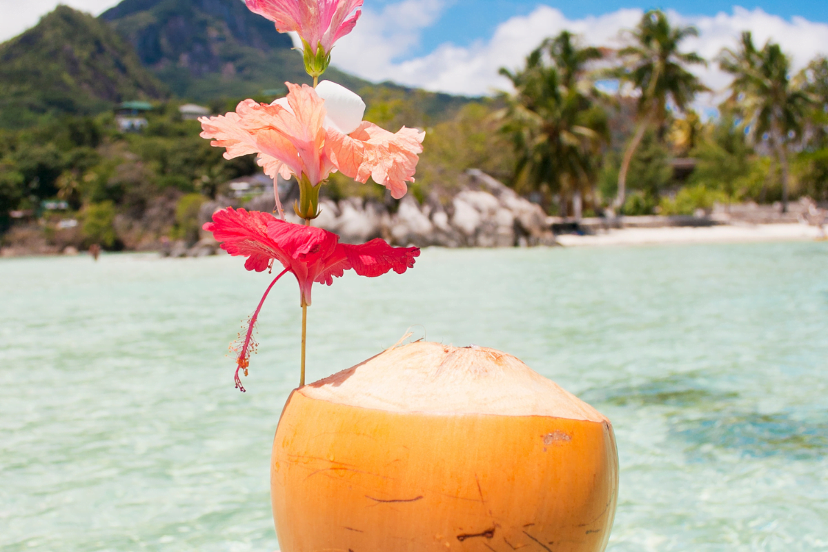 Seychelles en décembre