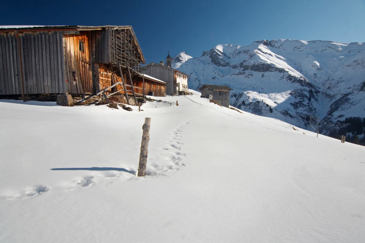 Hotel les 2 alpes au pied des pistes