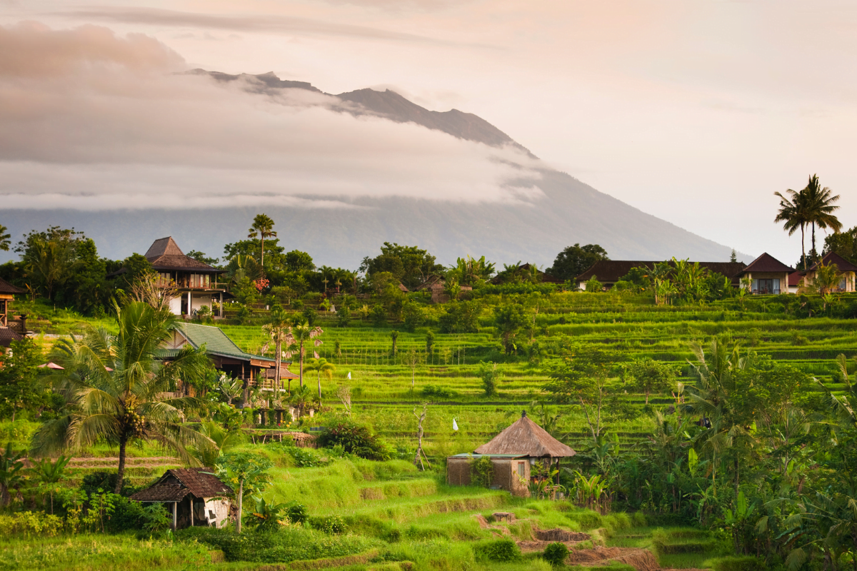 hotel ecologique à bali