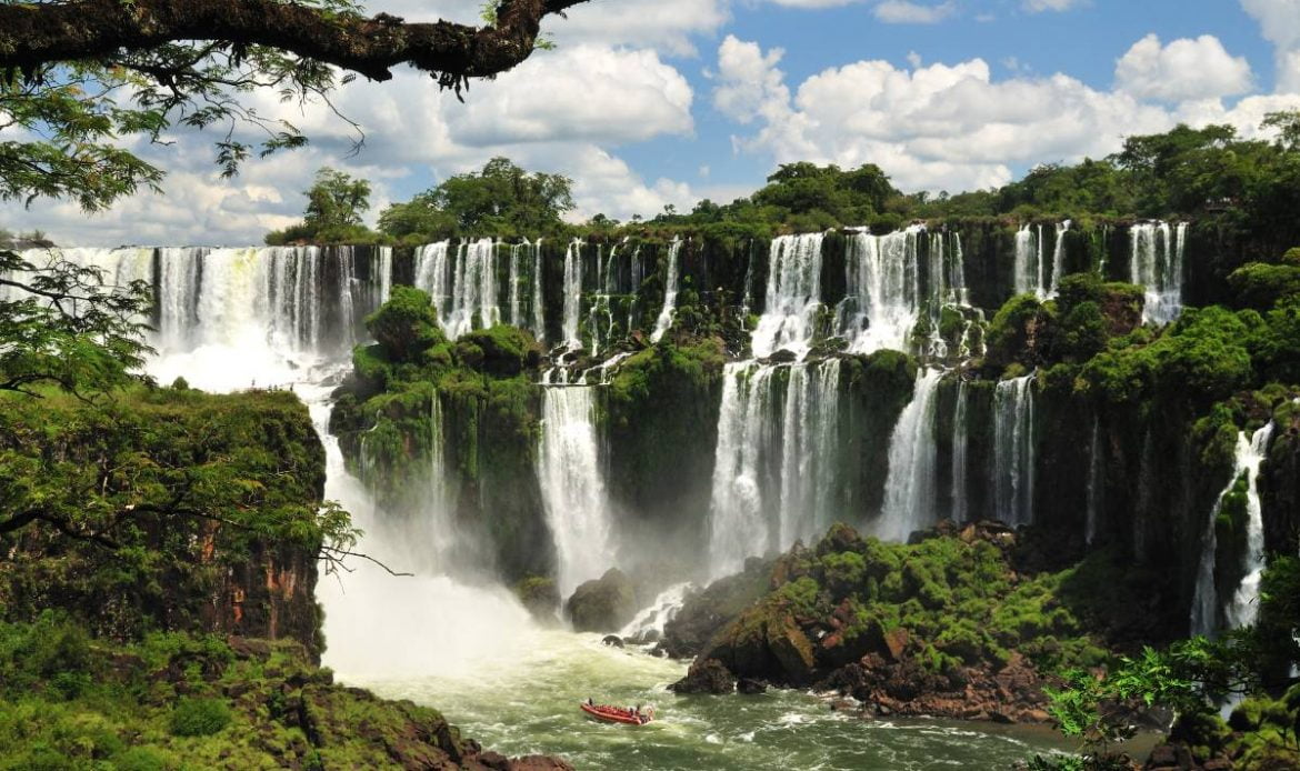 Argentine