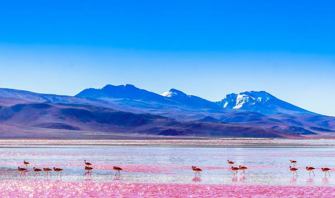 Bolivie