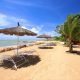 Les 10 choses incontournables du Sénégal à visiter absolument
