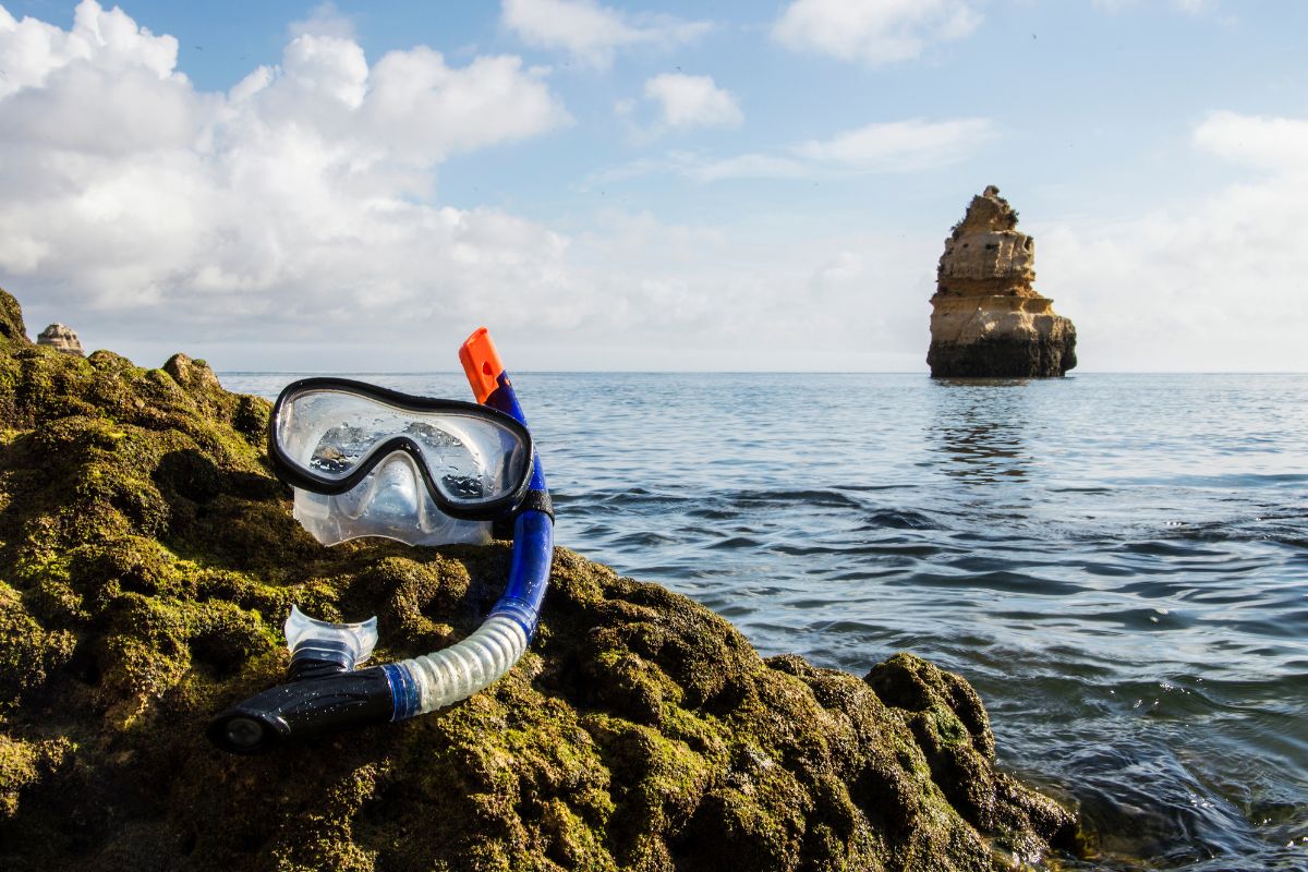 snorkeling portugal