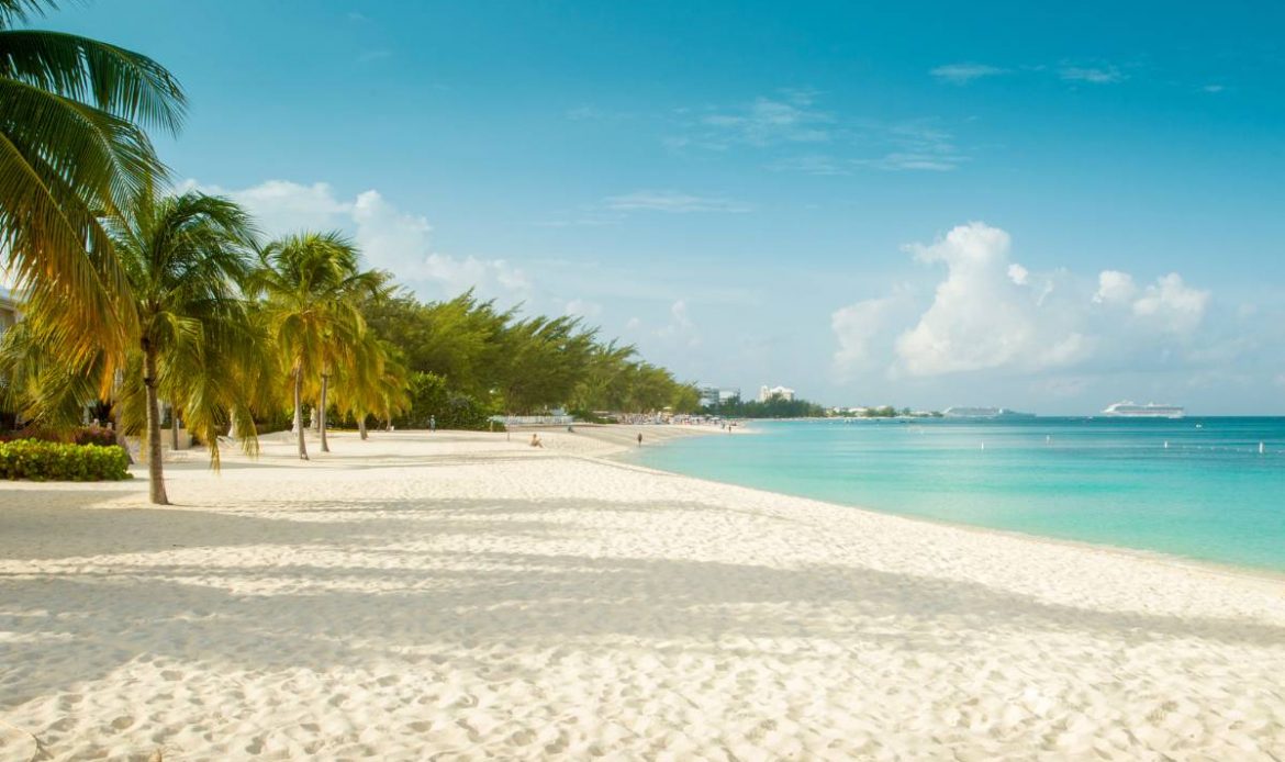 iles caiman