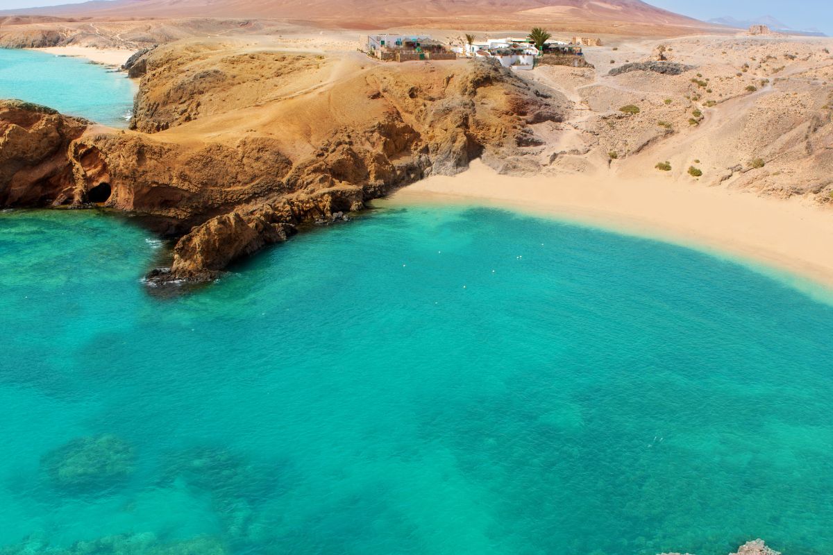 Marmara Lanzarote avis