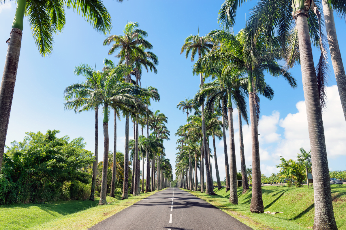 Pierre & Vacances en guadeloupe