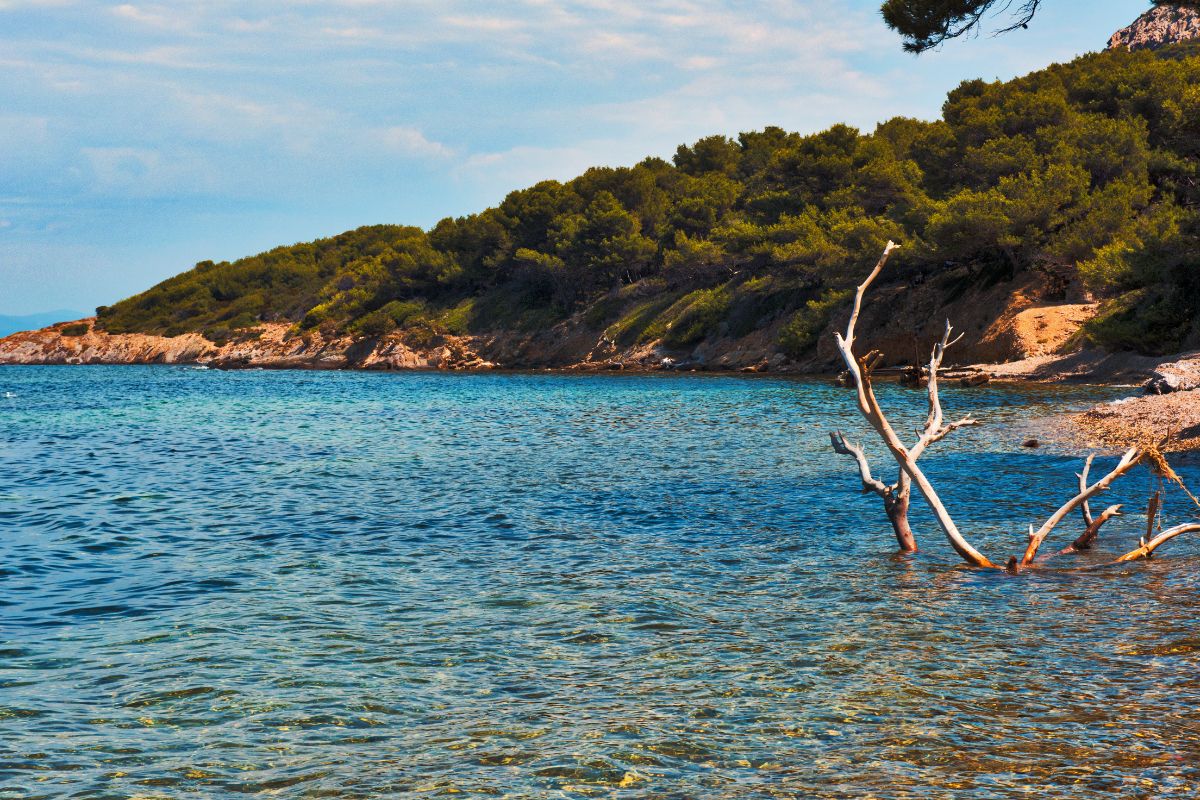 pierre et vacances hyeres avis