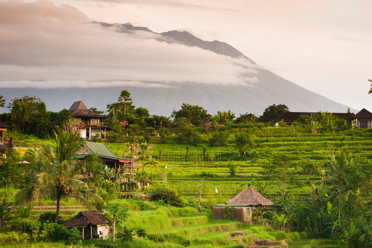 Bali en décembre