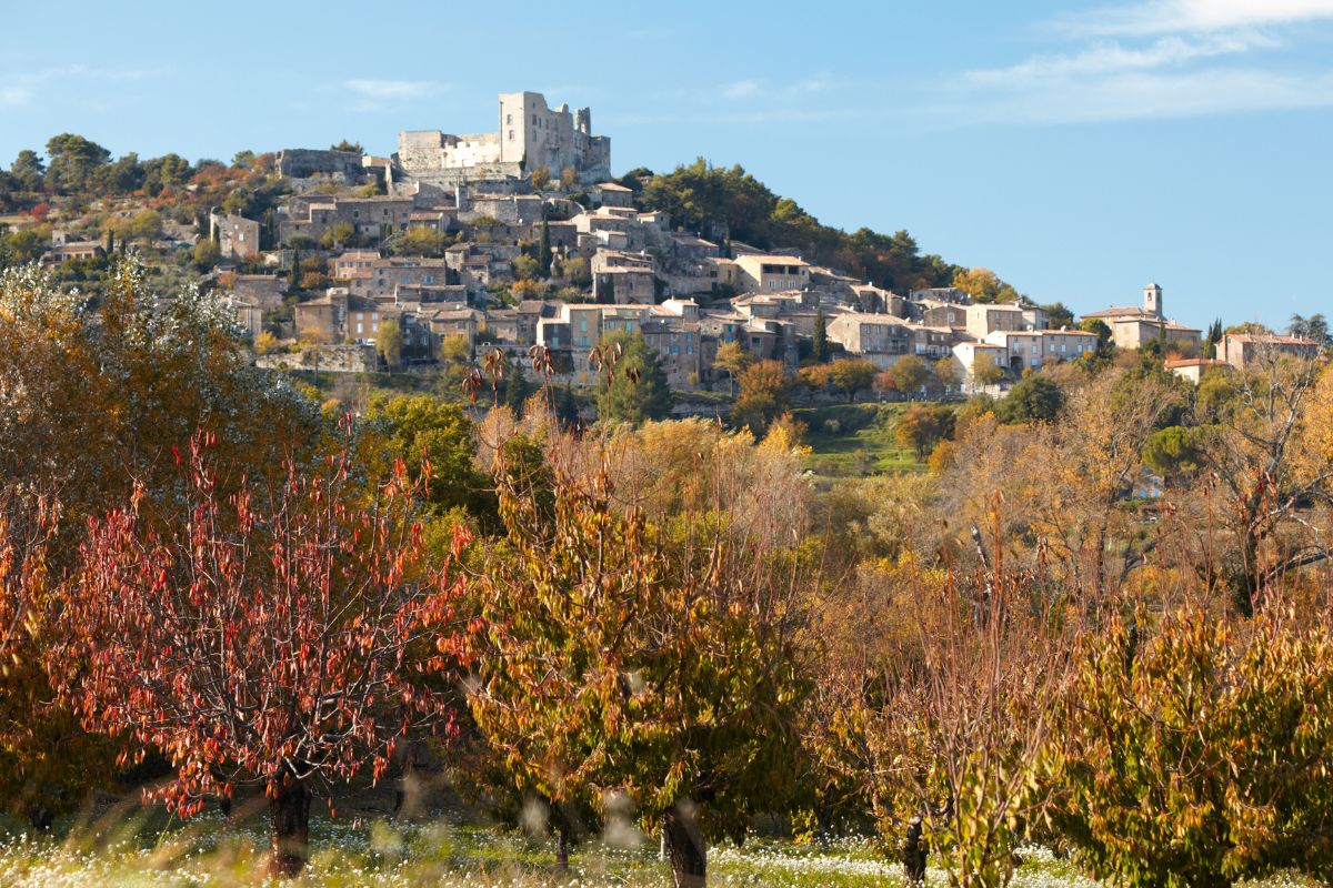 Vaucluse