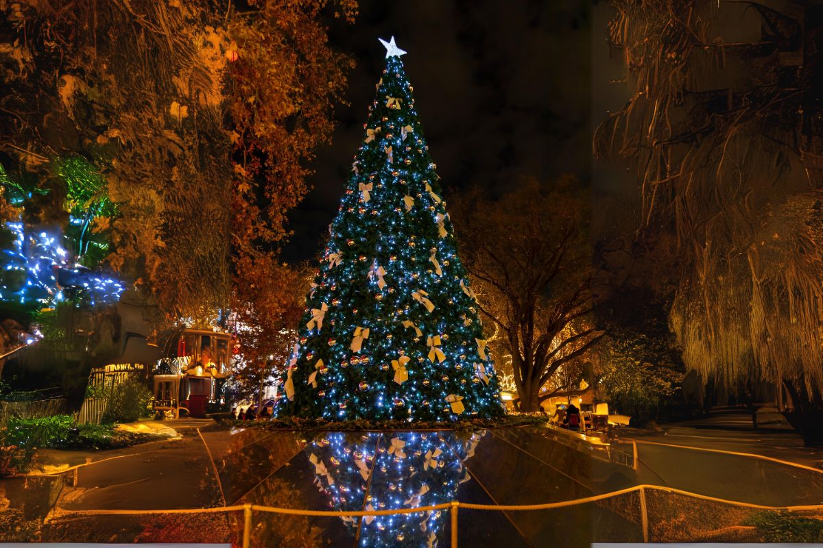 Christkindlmarkt tree