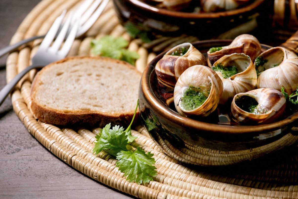 La Bourgogne et ses escargots