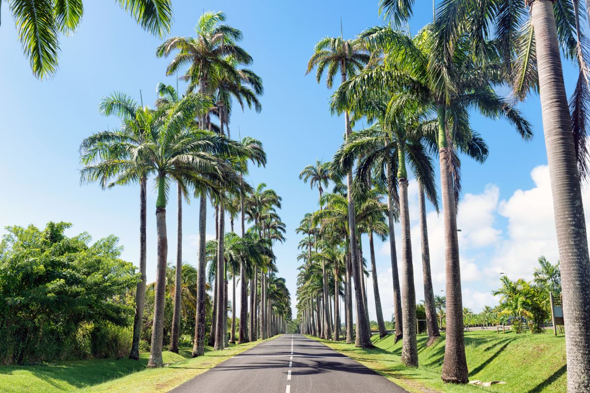 guadeloupe en mars avis