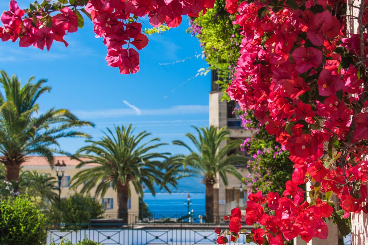 corse du nord ou du sud