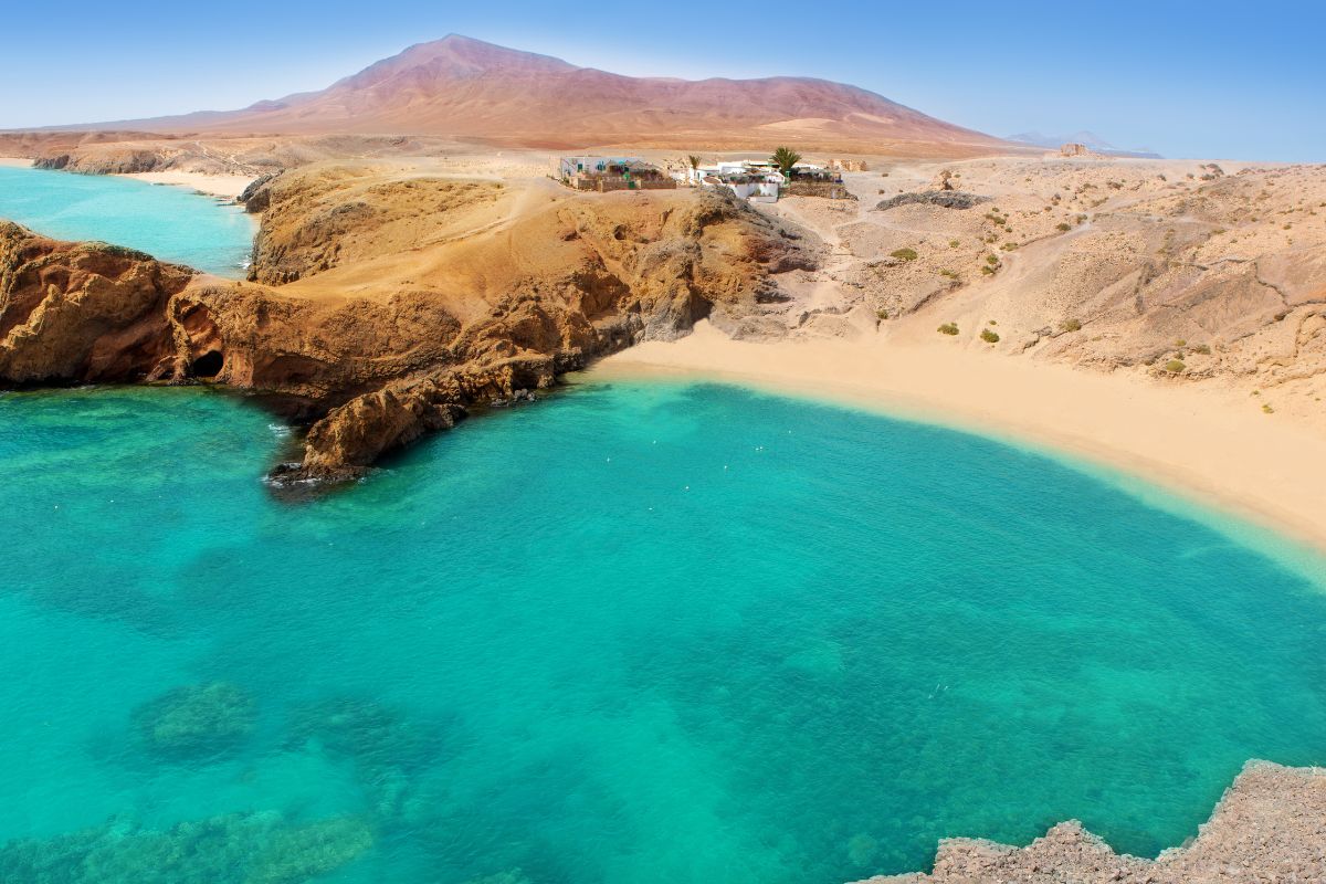 Lanzarote ou fuerteventura