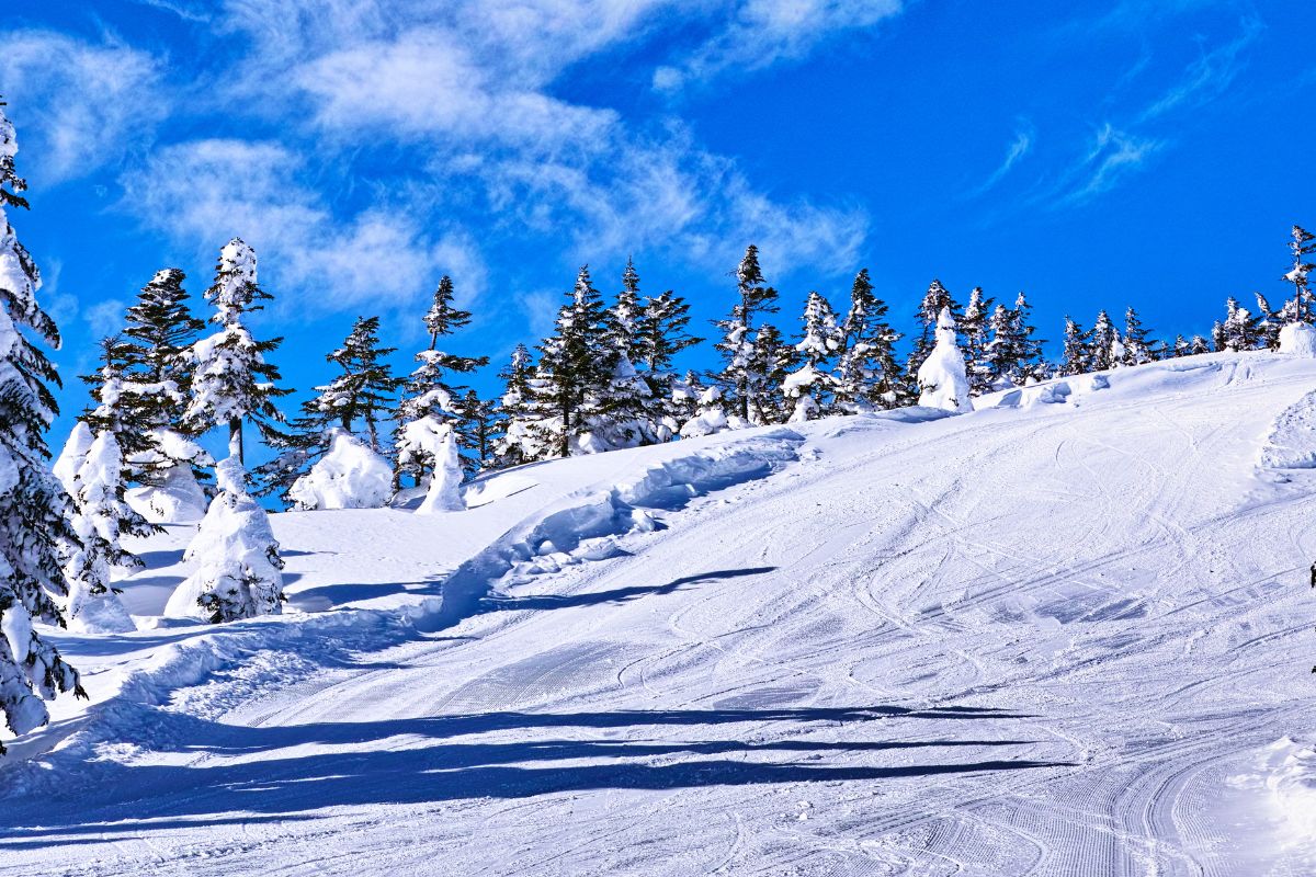 Les arcs ski avis