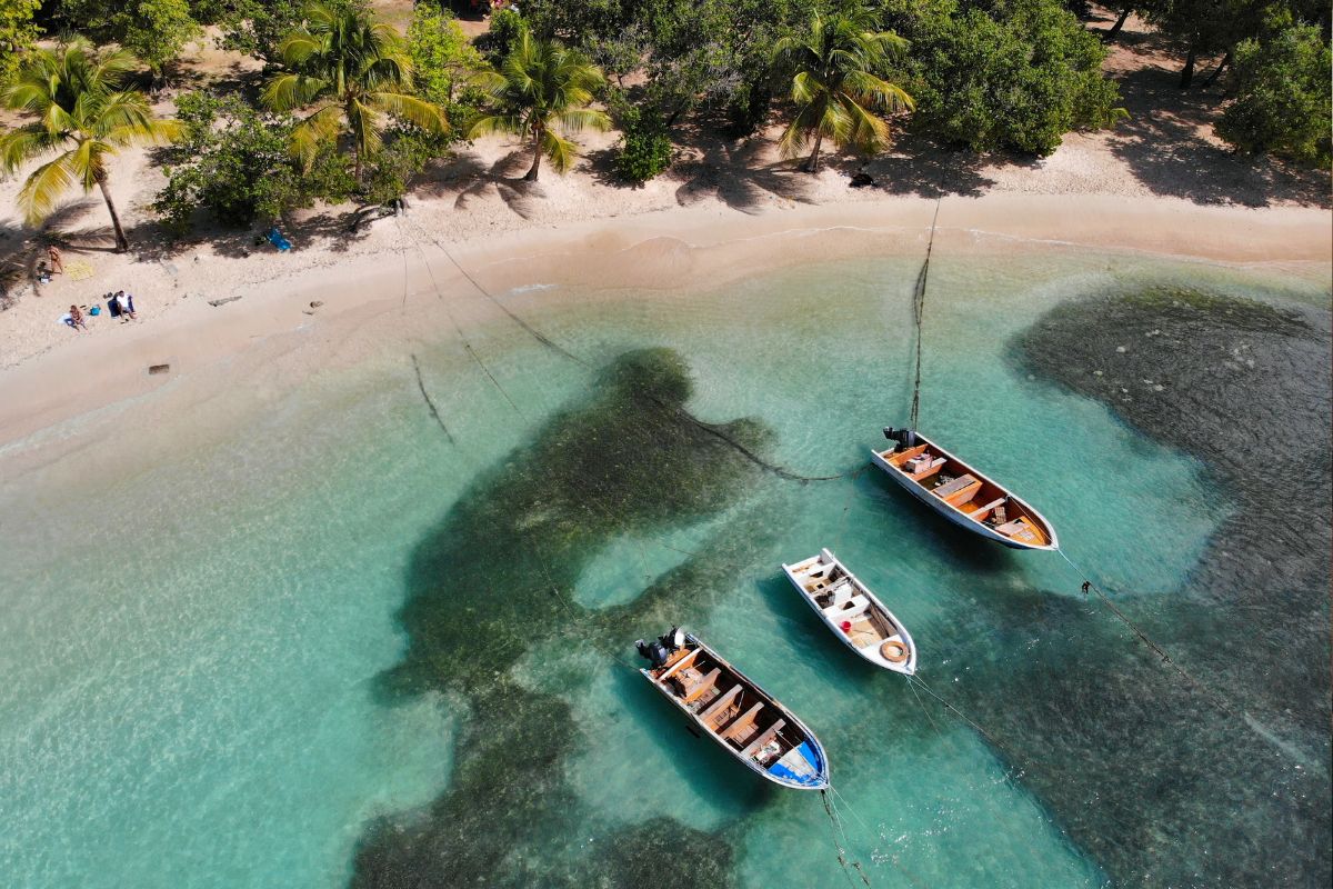 Guadeloupe ou Maurice