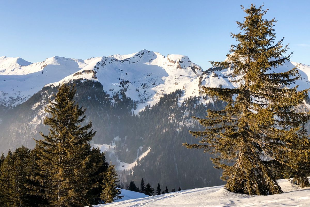 Morzine ski avis