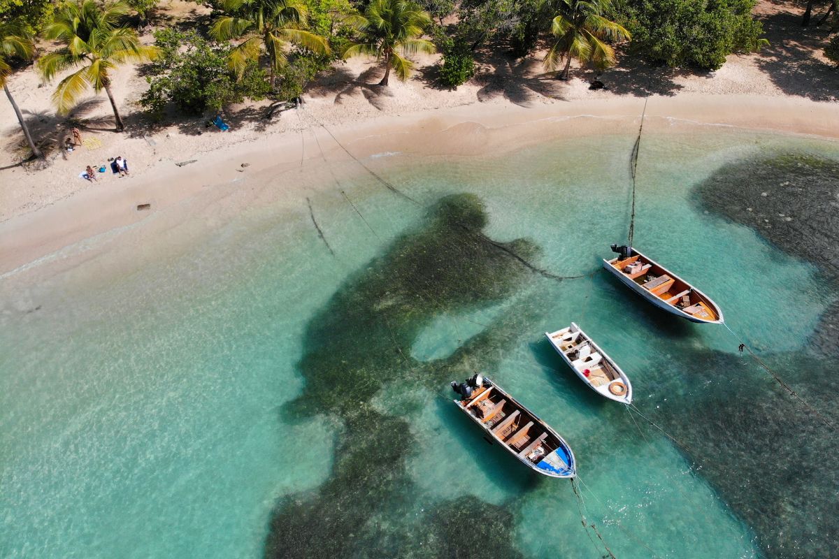 Guadeloupe ou Réunion