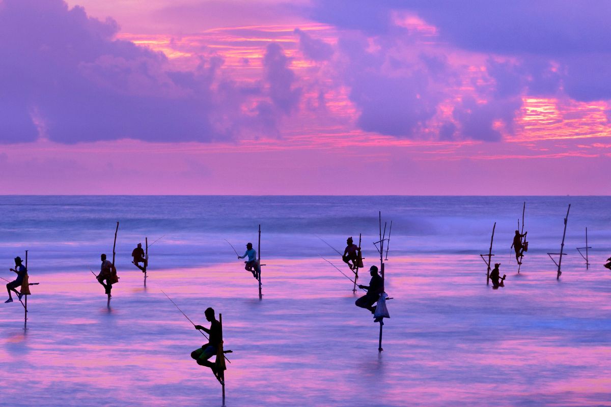 Voyage au sri lanka avis