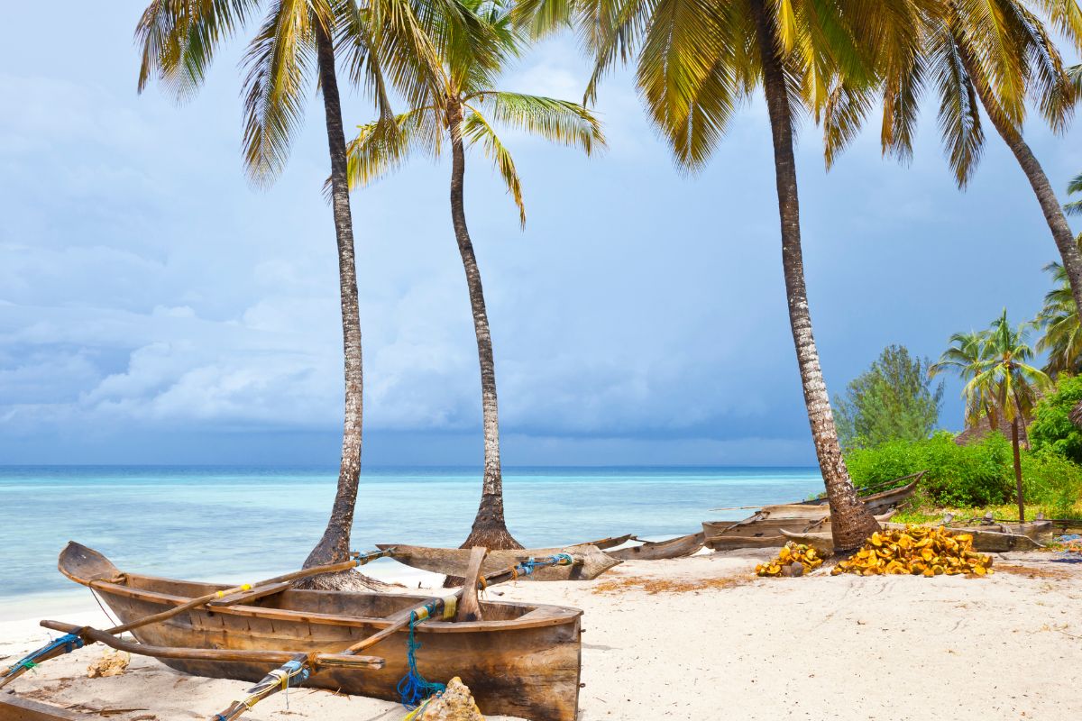 zanzibar en février avis