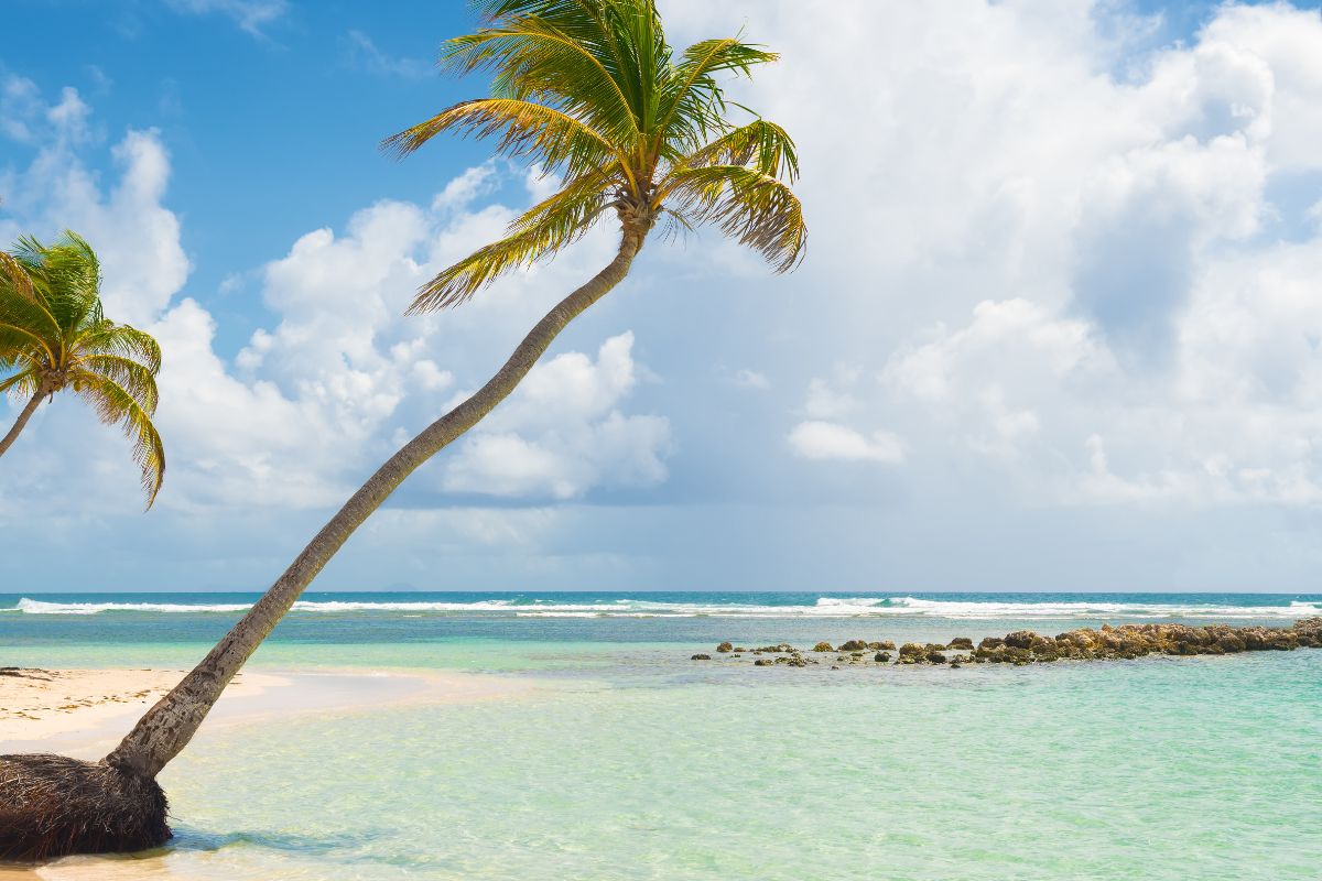 Prix voyage guadeloupe