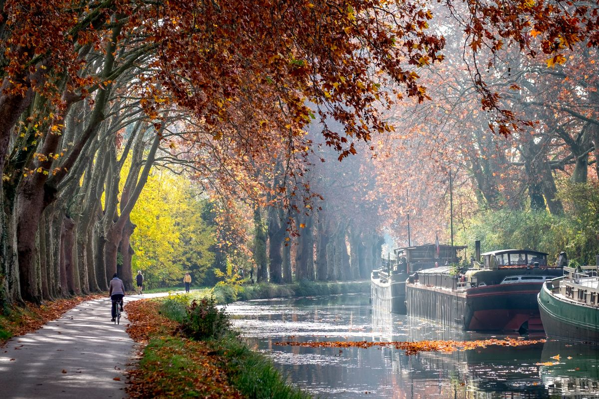 logement canal du midi